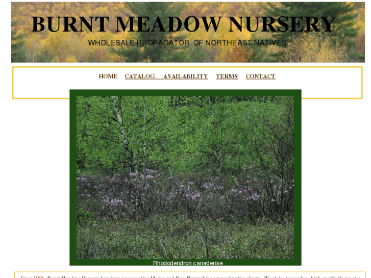 www.burntmeadownursery.com