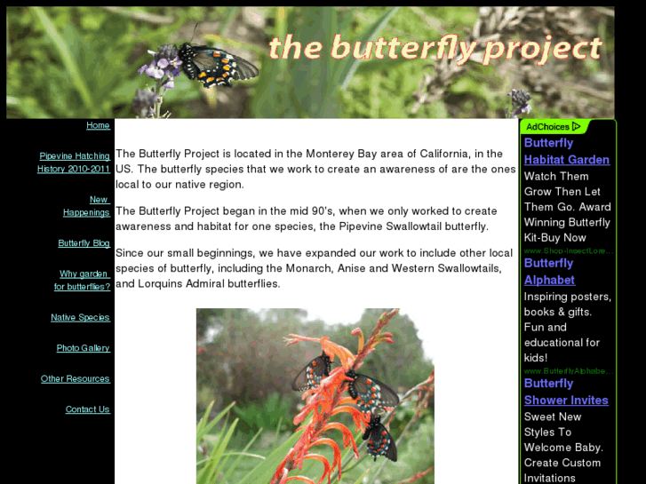 www.butterflyproject.org