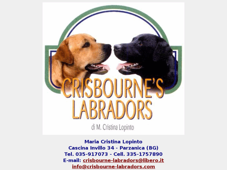 www.crisbourne-labradors.com