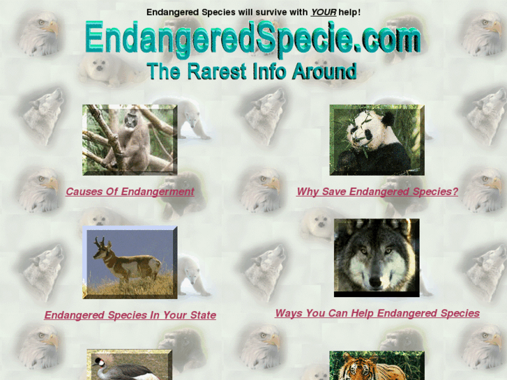 www.endangeredspecie.com