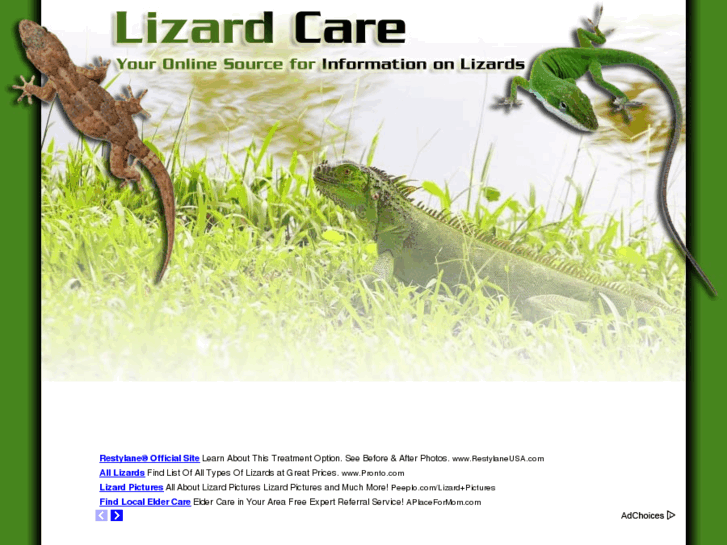 www.lizard-care.com