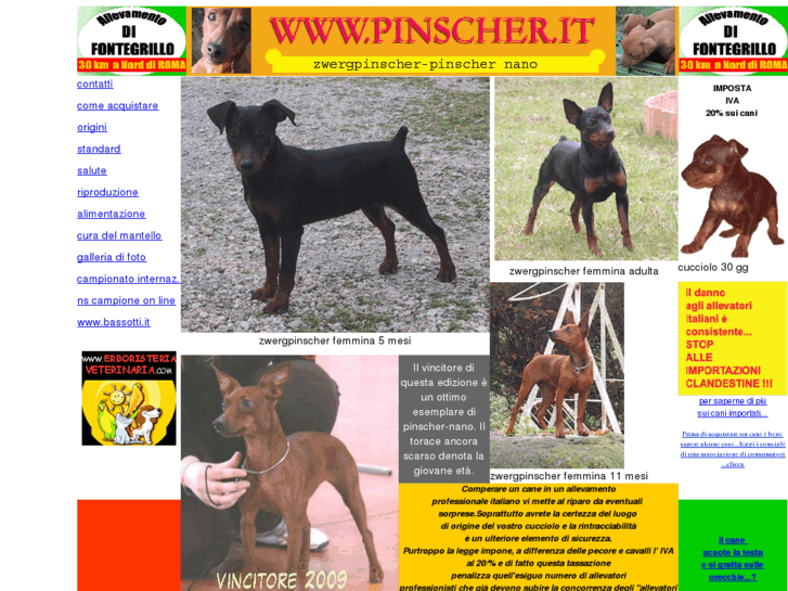 www.pinscher.it