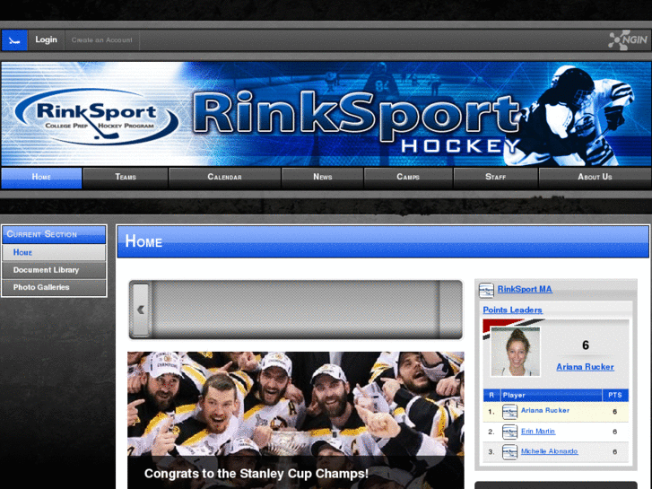 www.rinksport.com