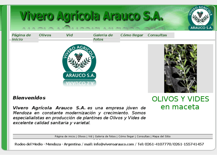 www.viveroarauco.com