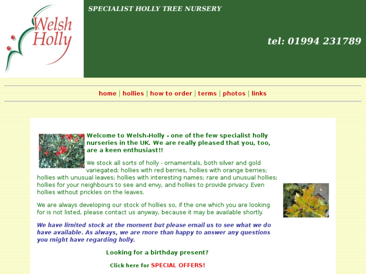 www.welsh-holly.co.uk