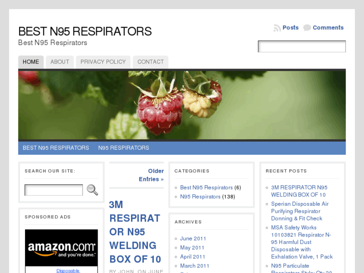 www.bestn95respirators.com