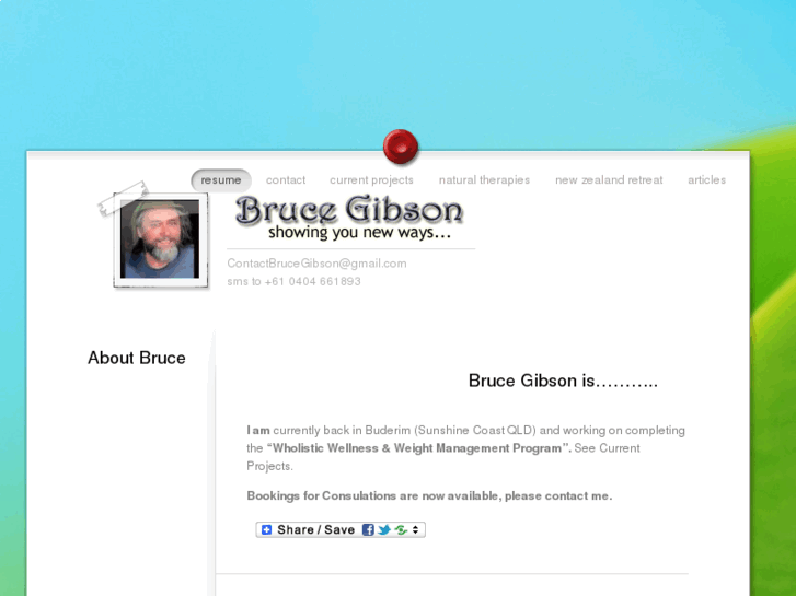 www.brucegibson.com.au