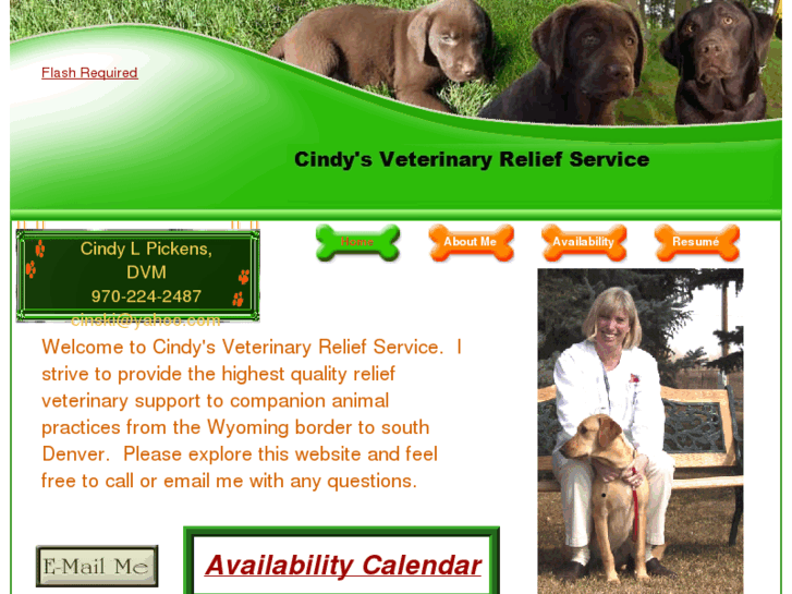 www.cindypickensreliefvet.com