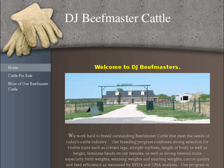 www.djbeefmasters.com