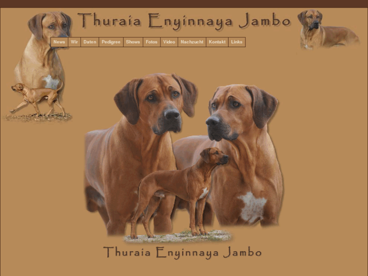 www.jambo-ridgeback.de