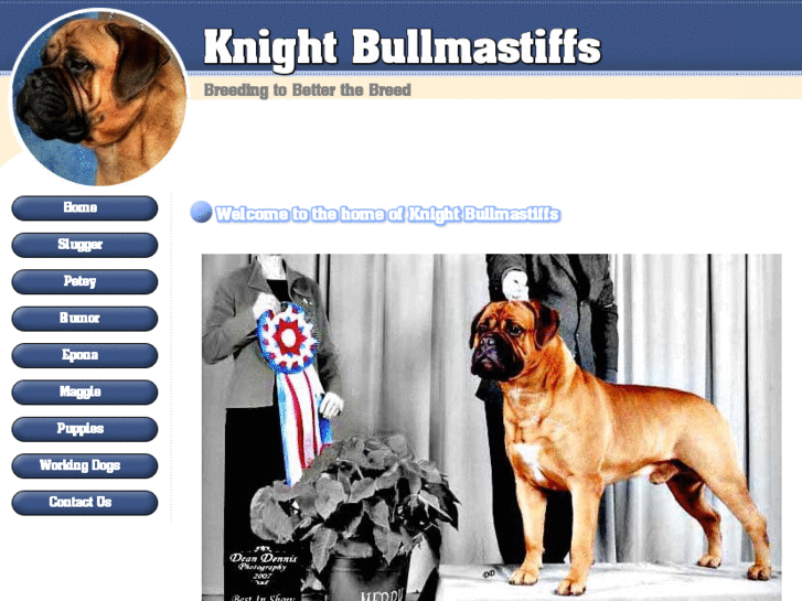 www.knightbullmastiffs.com