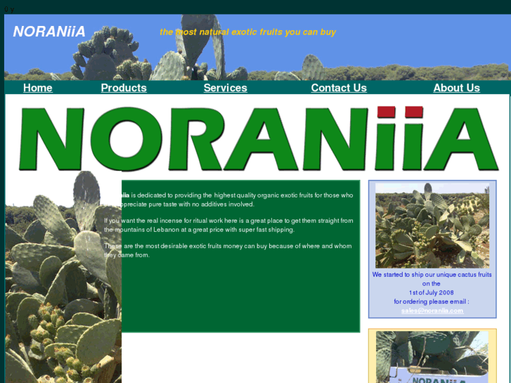 www.noraniia.com