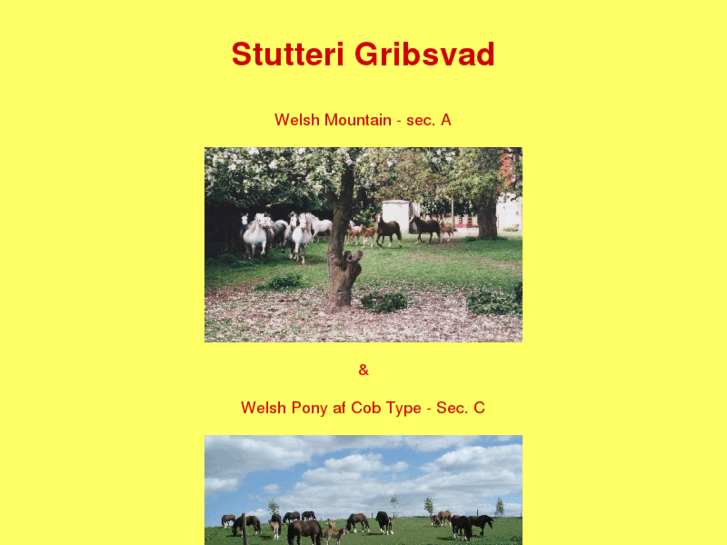 www.stutterigribsvad.com