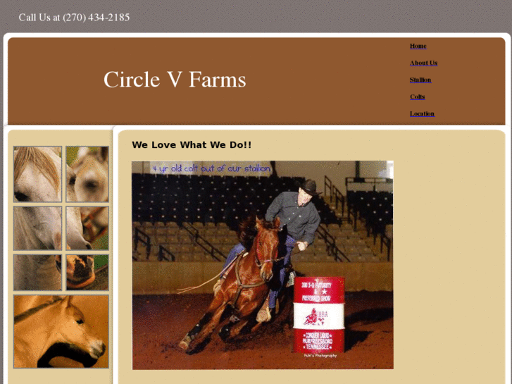 www.circlevquarterhorse.com