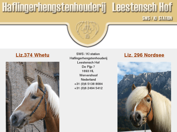 www.haflingerhorses.eu