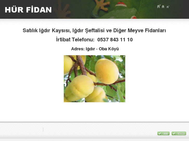 www.hurfidan.com