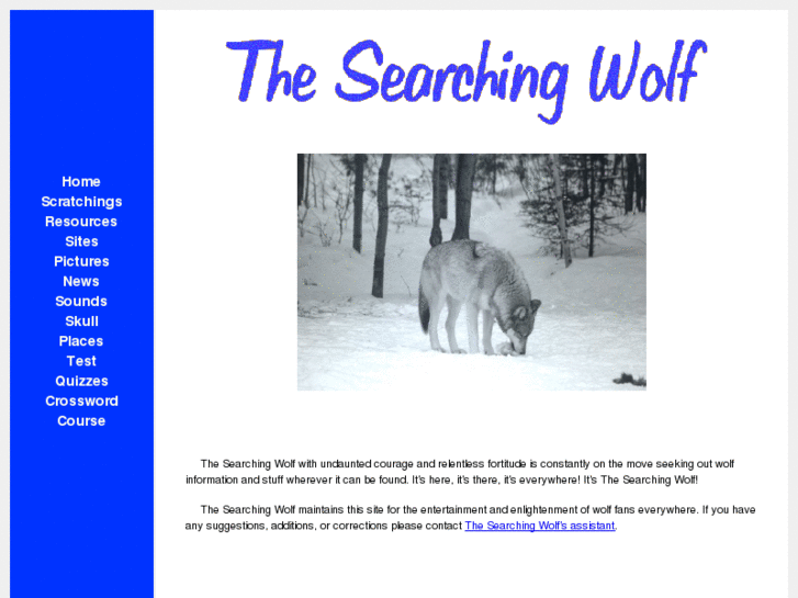 www.searchingwolf.com