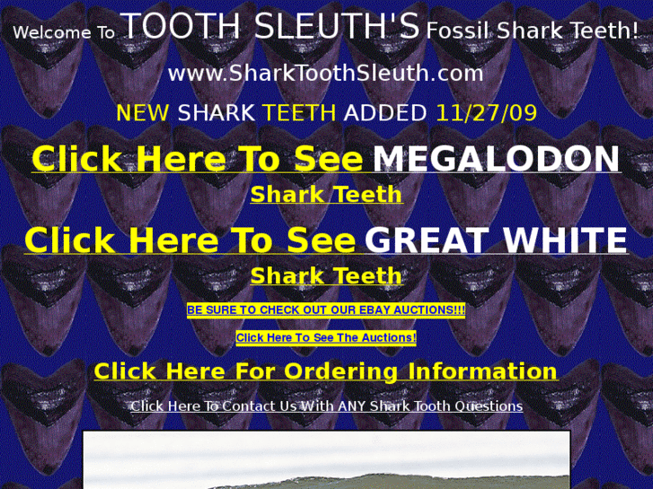 www.sharktoothsleuth.com