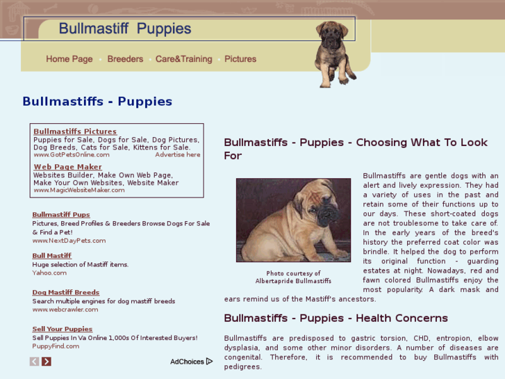 www.bullmastiffs-puppies.com