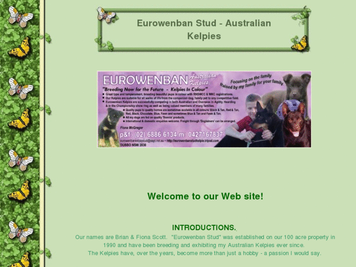 www.eurowenbankelpies.com