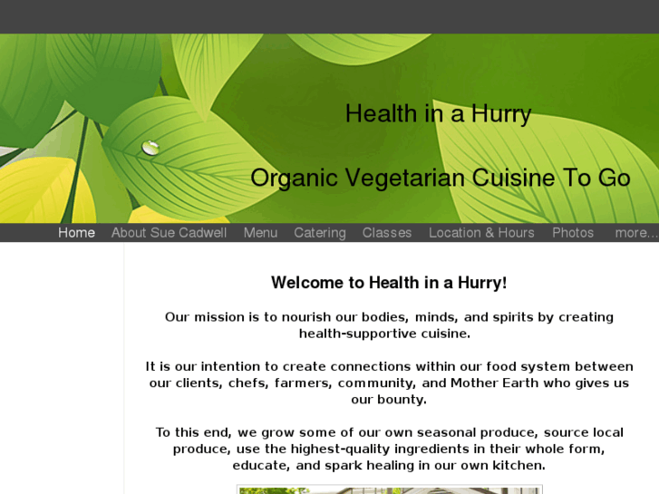 www.healthinahurry.net