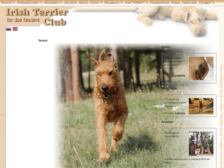 www.irish-terriers.org