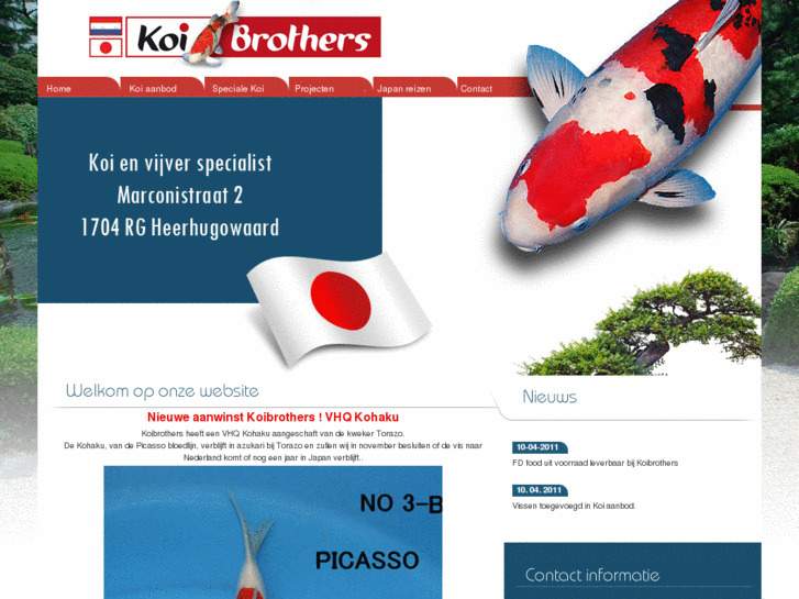 www.koibrothers.com