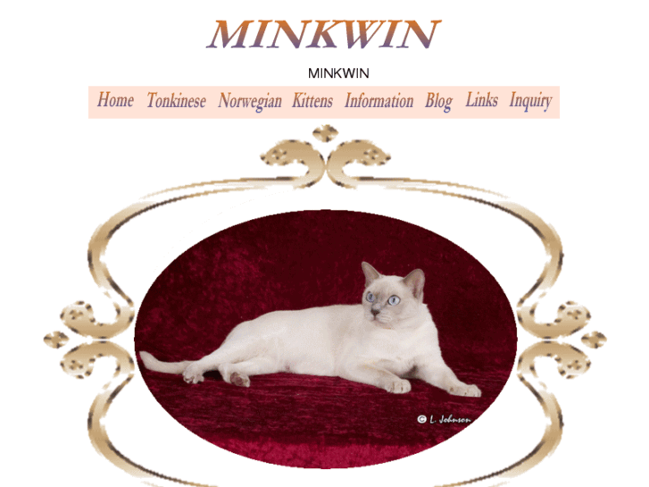 www.minkwin.com