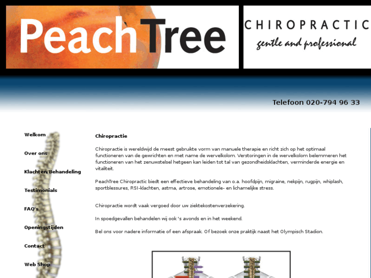 www.peachtree-chiropractic.com