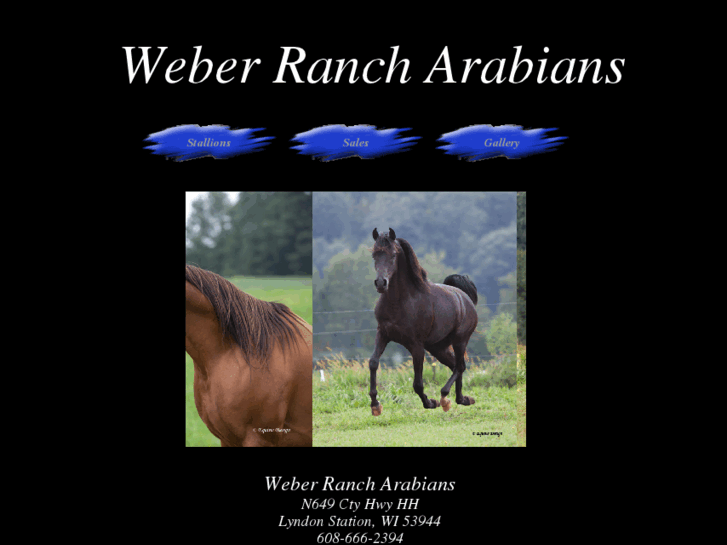 www.weberranch.net