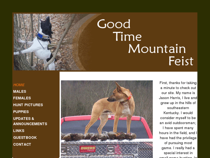 www.goodtimemountainfeist.com