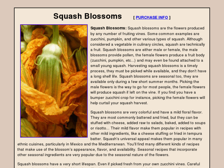 www.squash-blossoms.com