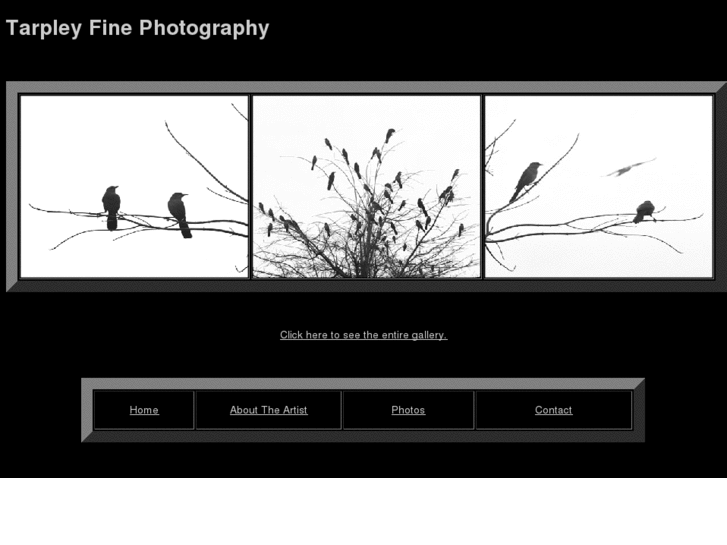 www.tarpleyfinephotography.com