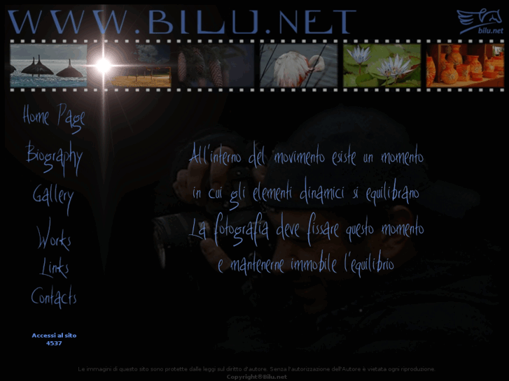 www.bilu.net