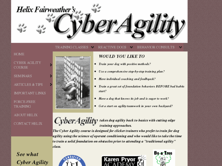 www.cyberagility.com