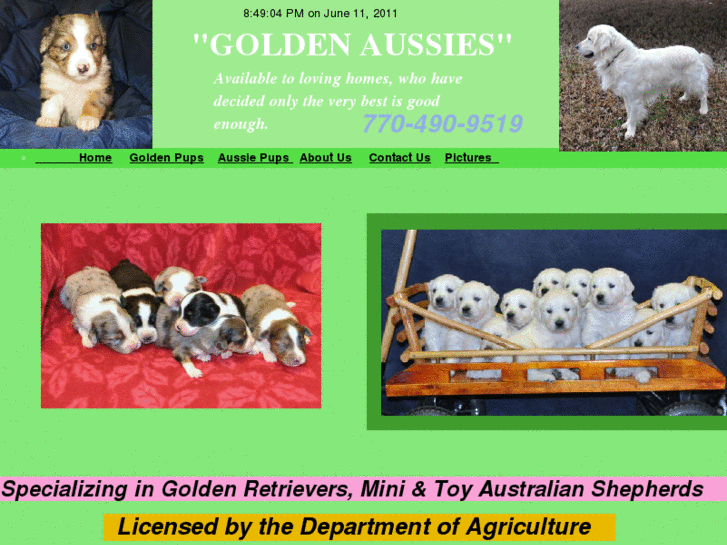 www.goldenaussies.com