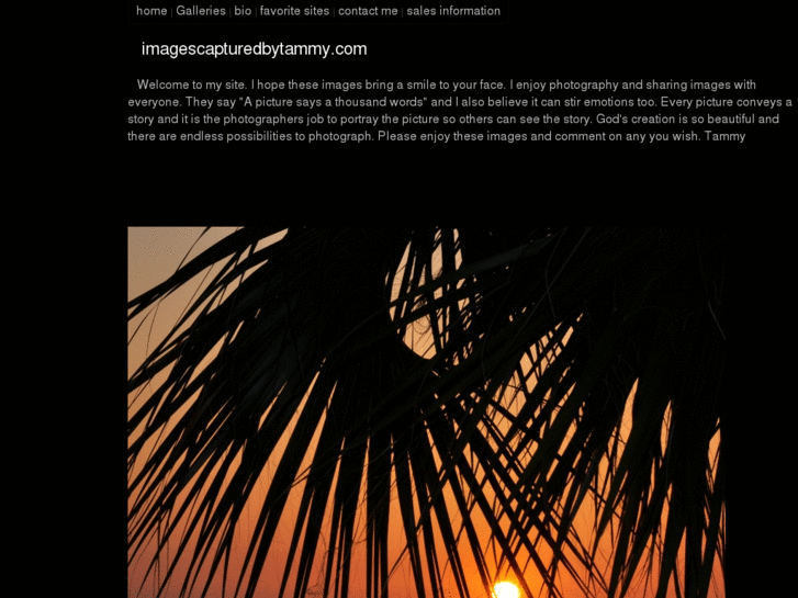 www.imagescapturedbytammy.com