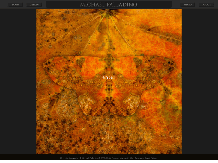 www.michaelpalladino.net