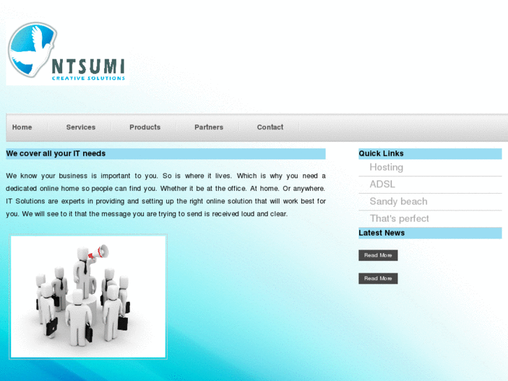 www.ntsumisolutions.com
