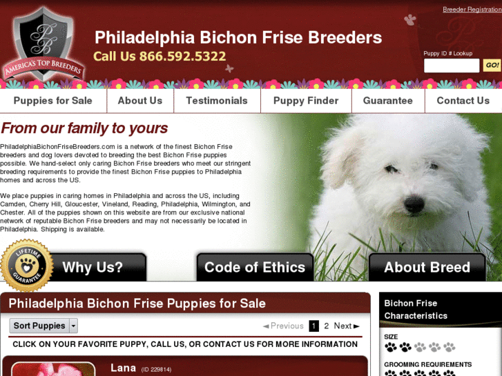 www.philadelphiabichonfrisebreeders.com