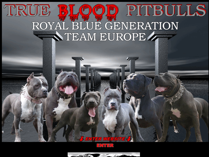 www.truebloodpitbulls.com