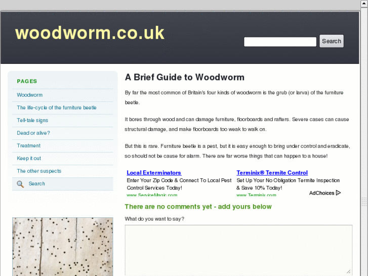 www.woodworm.co.uk