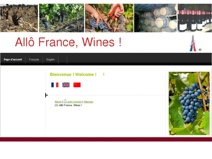 www.allo-france-wines.com