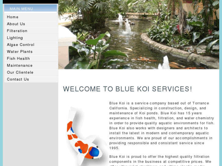 www.bluekoiservices.com