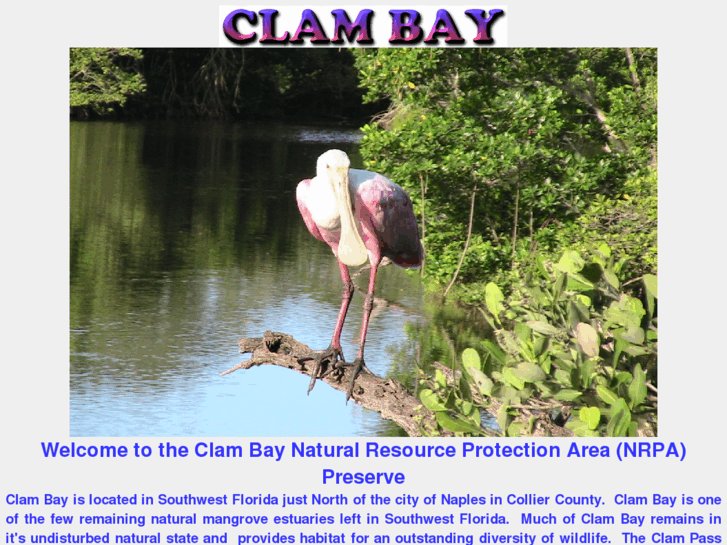 www.clambay.net