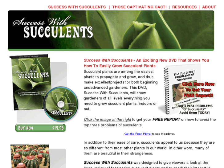 www.successwithsucculents.com