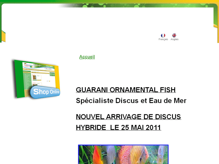 www.guarani-discus.ch