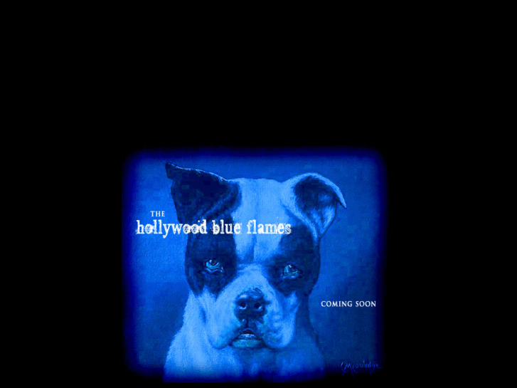 www.hollywoodblueflames.com