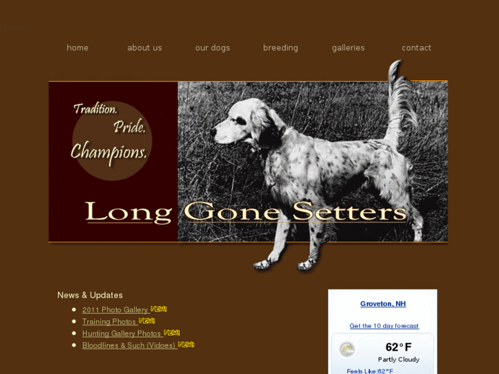 www.longgonesetters.com