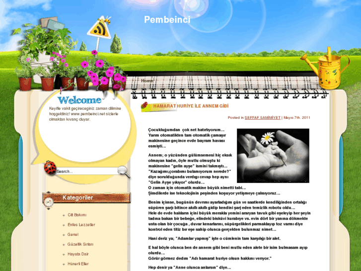 www.pembeinci.net